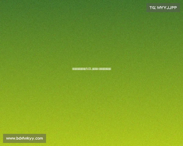 澳媒称未收到林葳赴NBL试训消息 多支球队名单已满